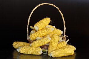 maize, mealies, corn-380701.jpg